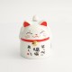 TAZA GATO